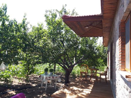 Newcıty Emlaktan Müstakil Bahçeli Komple Kiralık Taş Ev