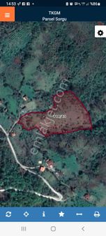 Sinop Erfelek Balıfakı Köyünde Atalay Emlaktan Satılık Tarla