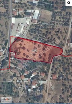 Bater'den Umurlu Org. Sanayi Yakınında Satılık 6126 M² Zeytinlik