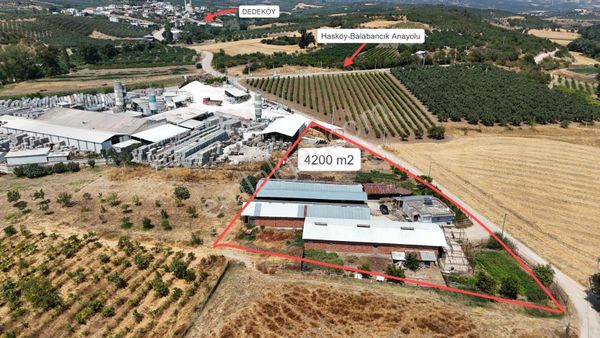 Bursa-mudanya-dedeköy Satılık 4200 M² Yapı Kayıtlı Çiftlik