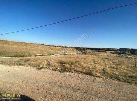 Pusula Gm Alitaşı Mh Feleket Köyü 2.000 M2 Bağevi Arsası