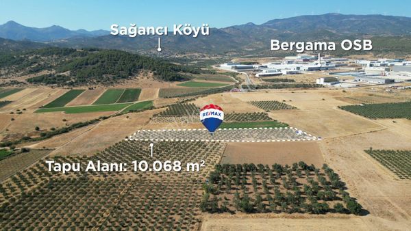 Bergama Sağancı'da Dikili'ye Ve Anayolayakın Satılık Zeytinlik