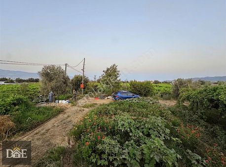 Akkeçili Kayısı Çukuru Mevki Satılık Bağ