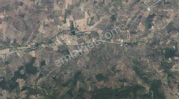 Bursa Mudanya Tirilye - Talatbey Satılık 736 M2 Zeytinlik