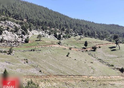 Final Emlaktan Olukkoyağında Yaylalık 803m² Tarla Vasfında Arsa