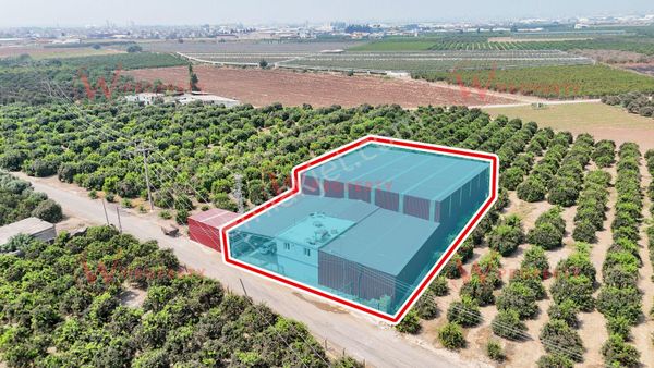 W Property'den 1700m2 Kapalı Alanlı Kiralık Depo