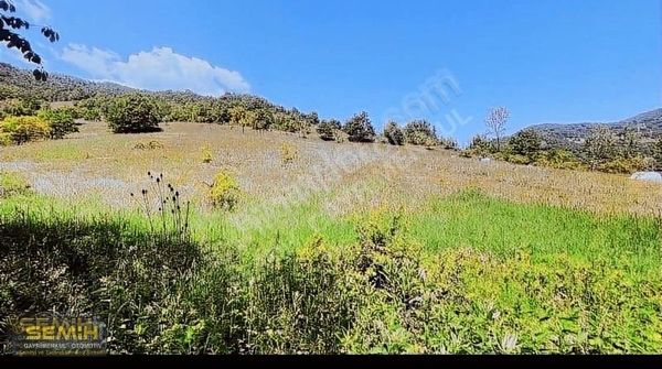 Semih'den Paşayaylada Ekonomik Yatırımlık 1445m2 Kelepir Arazi