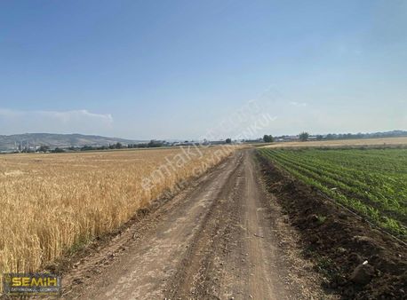 Semih'den Kurtuluşta Bölgenin Piyasanın En Dip Fiyatına Arazıı