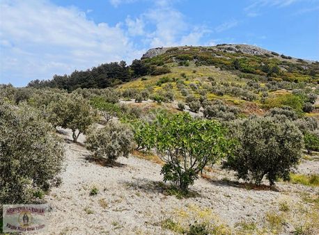 Ege'nin Bereketli Topraklarında Tarıma Uygun Arazi Fırsatı !
