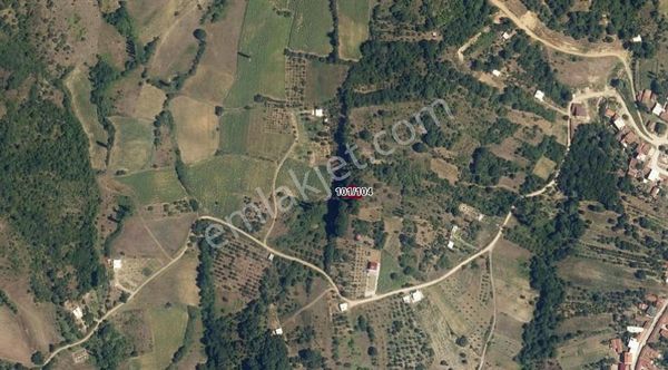 Bursa Yenişehir Süleymaniye De 285 M2 Bağ