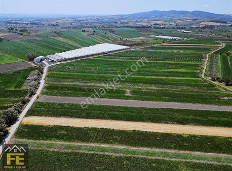 Ferizli İmar Sınırında Yatırımlık Arazi