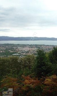 Göl Manzaralı Satılık Tarla