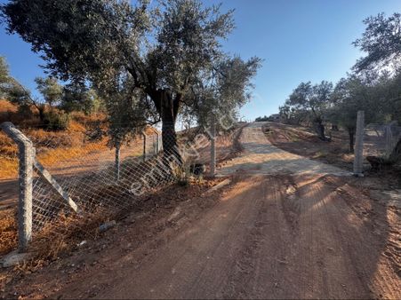 Atça Yağdere Mahallesinde Satılık Hobi Bahçesi