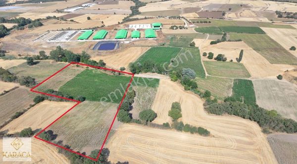 Pınarhisar Osmancık'ta Köye Yakın 14400m² Satılık Tarla