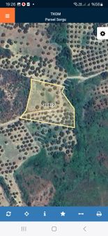 Acil Satılık Şarköy Tepeköy Mah. 3650 M2 Deniz Manzaralı Zeytinlik 1.850000 Deniz Manzaralı