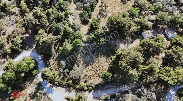 Avunduruk Köyünde Satılık 1.780 M2 İmarlı Arsa