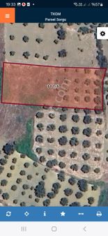 Acil Satılık Şarköy Eriklice Deniz Manzaralı 2254 M2 Deniz Manzaralı 1.950000