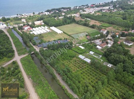 Mabel'den - Sakarlı'da 4 Kat İmarlı Arsa Anayola 200 Mt Mesafe