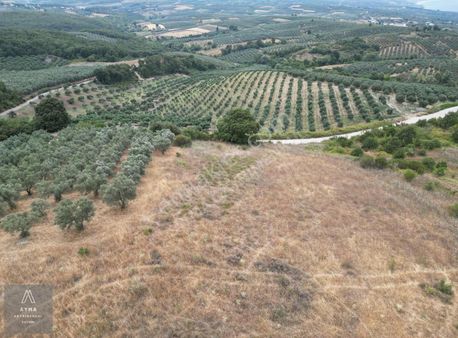 Ayma'dan Kaymakoba'da Full Deniz Manzaralı 3.000 M2 Fırsat Tarla