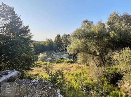 Ayma'dan Güngörende Tek Tapu Yola Cephe 1267 M2 Kupon Tarla