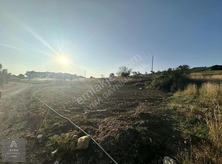 Ayma'dan Güngörende Köye 300 Metre 1236 M2 Tek Tapu Fırsat Tarla