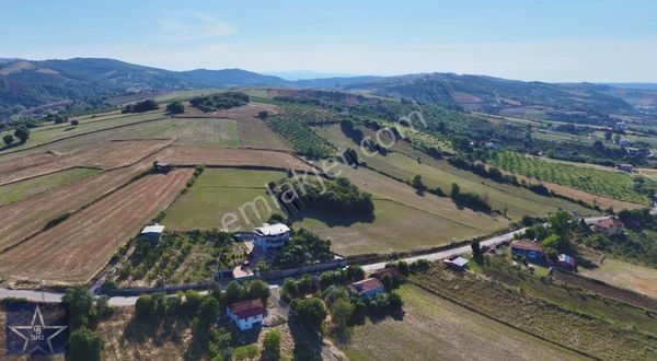 19 Mayıs Yeşil Ova Mahallesi Satılık Hisseli Tarla