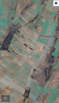 Kırklareli Vize Hasbuğa'da Emsallerine Göre Uygun Tek Tapu Tarla