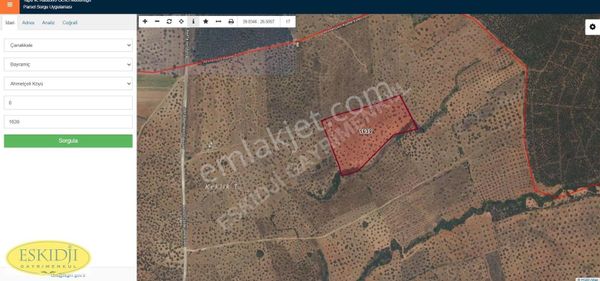 Ahmetçeli Köyünde 7.383 M² Hisseli, 80 Ağaçlı Bakımlı Zeytinlik