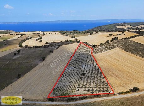 Çanakkale Erenköy Topçamlar Mevkii Satılık Tarla.