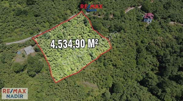 Remax Nadir Çıtlakkale Mah. 4534 M2 Satılık Fındık Bahçesi