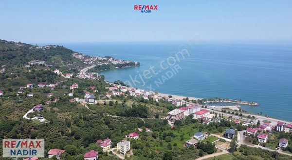 Bulancak Yalıköyde Deniz Manzaralı, Verimli Fındık Bahçesi