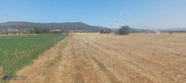 Doğanın Kalbinde , Bodrum Da Bir Yaşam Fırsatı