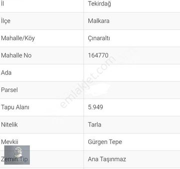 104m Yola Cepheli Köy İçinde 6 Dönüm Tarla