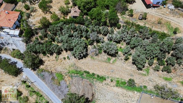 Antika Gayrimenkul'den Birgi'de Köy İmarlı Satılık Fırsat Arsa