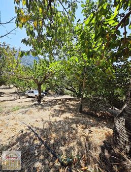 Antika Gayrimenkul'den Birgi Hacıhasan'da Satılık Fırsat Arsa