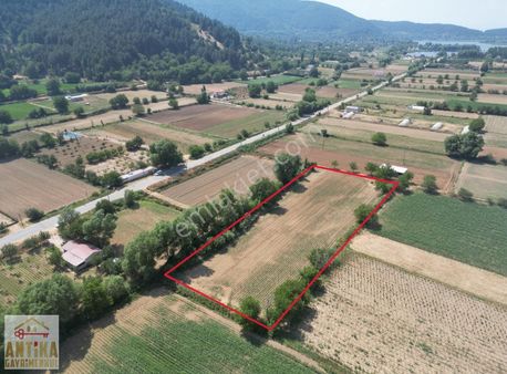 Antika Gayrimenkul'den Gölcükte Satılık Tarla