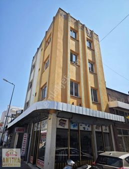 Antika Gayrimenkul'den 3 Apart, Bir Dükkan Bir Daire Fiyatına