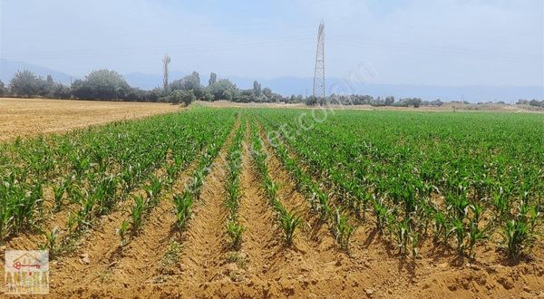 Antika Gayrimenkulden Ödemişe Yakın Konumda Satılık 9973m² Tarla