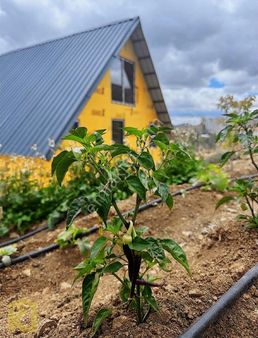Niğde Çamardı Bademdere De Bungalov Yazlık
