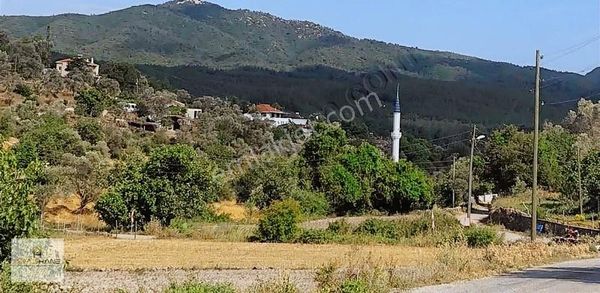 Milas Pınararası Köy İçi 250m2 İmarlı Arsa Villa-taşev Hayalini