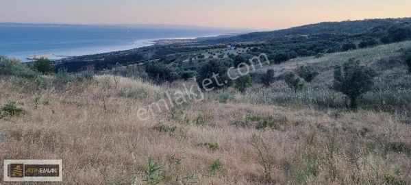 Tekirdağ Şarköy Kirazlı'da 3363 M2 Tarla