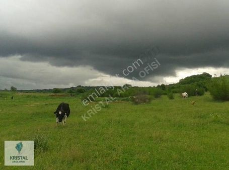 Kırklareli Pehlivanköy Akarca Da Hızlı Tren Hattına Yakın Arsa