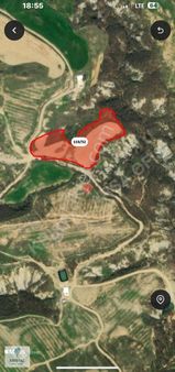 Acil Satılık 1337m2 Tekirdağ Süleymanpaşa Yenice