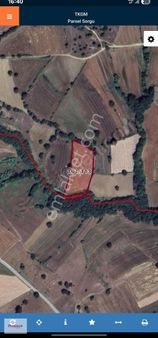 Segup Mustafa'dan Kavak Seyitali Mahallesi'nde 6548 M² Tarla