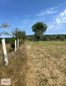 Samsun Kavak Demirci Köyünde 1 Tarla Fiyatına 3 Ayrı Tarla