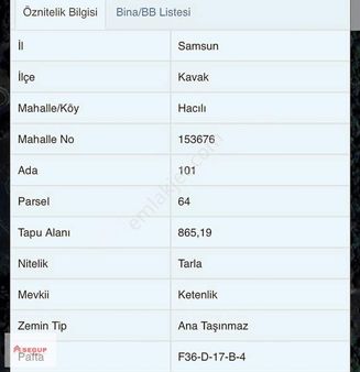 Samsun Kavak Hacılı Mahallesinde Tarlamız Satılıktır