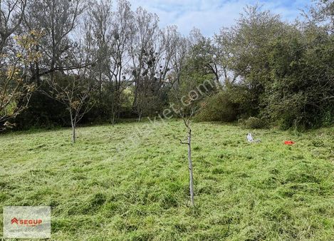 Samsun Kavak Karaaslan Mahallesinde 1281 M2 Tarlamız Satılıktır