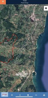 Sinop Merkez'de Satılık Tarla