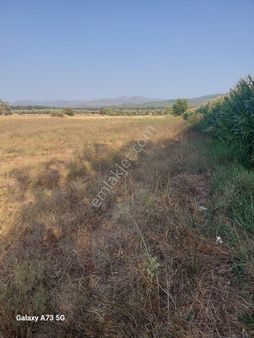 Bodrum Sazköy Mahallesinde Satılık Tarla