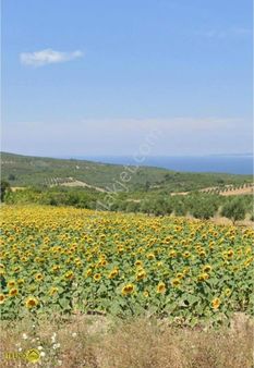 Fırsat Hobi Bahçesi / Tapulu